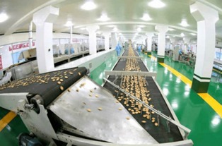 金正恩視察平壤食品工廠 夸贊國(guó)產(chǎn)設(shè)備像美男子