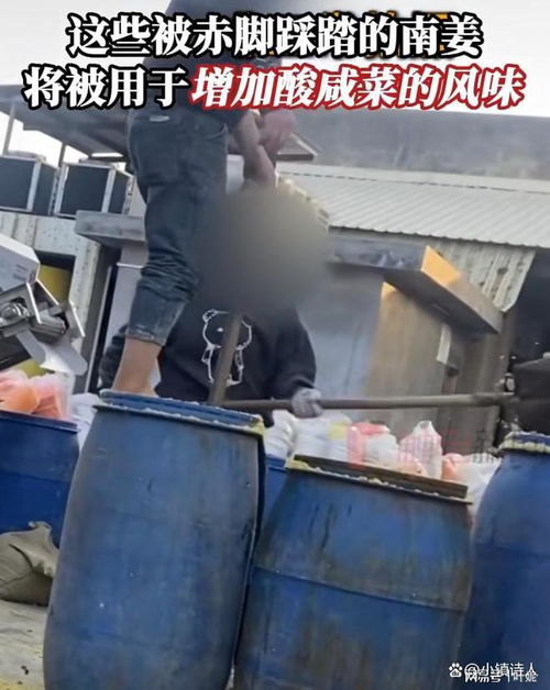 腌菜廠再現腳踩腌菜,食品安全問題頻發,只在315這天才曝光