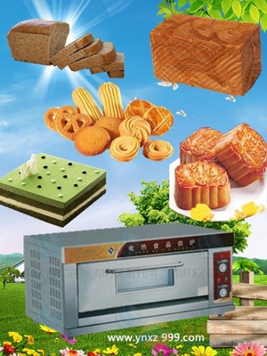 紅外線食品烘爐價格 廠家 昆明烘爐 曲靖烘爐 烘爐那里有賣